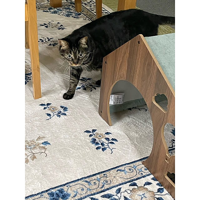 momocchiさんの実例写真