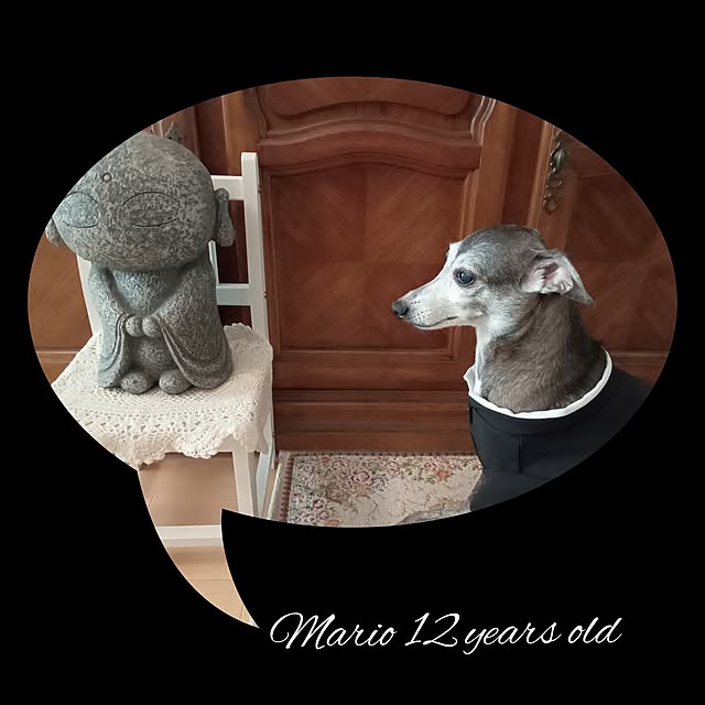 moruさんの部屋