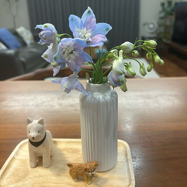 banbinaさんの部屋
