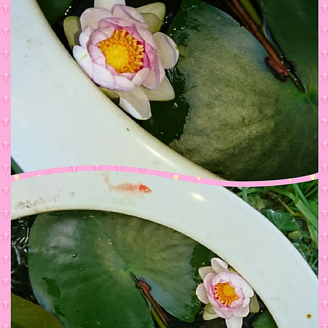 yuukyさんの実例写真
