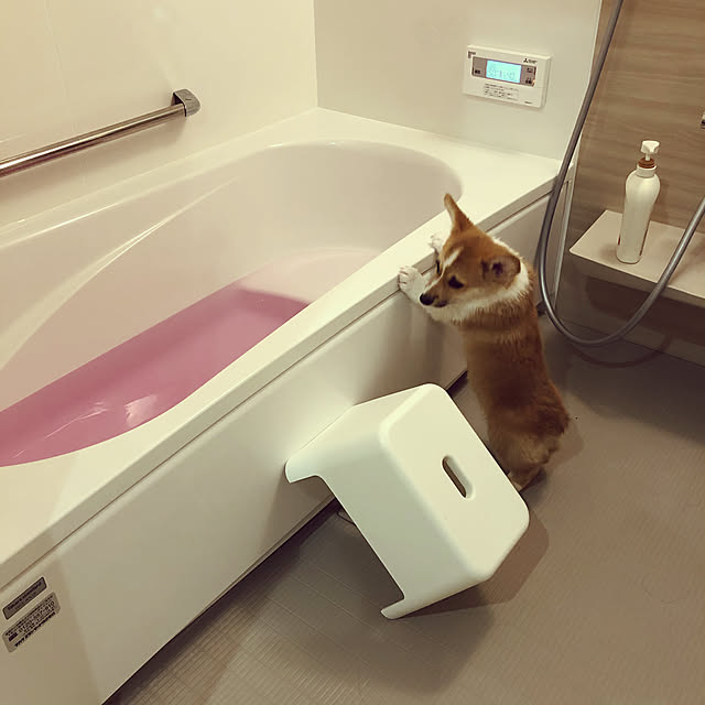 Sawaさんの実例写真