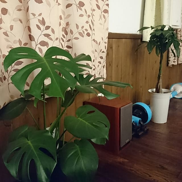 Ryuichiさんの実例写真
