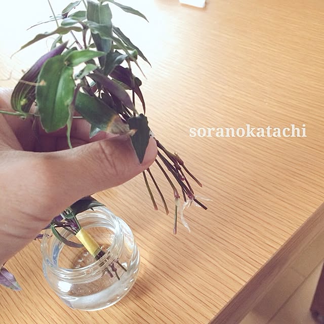 soranokatachiさんの実例写真