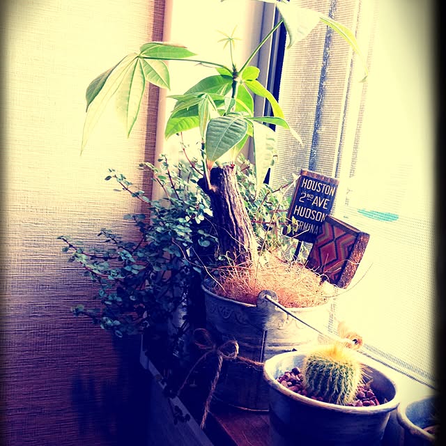 Rans_andy.さんの実例写真