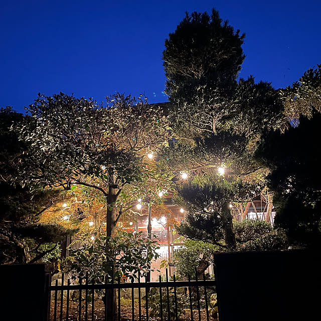 shin0719さんの部屋