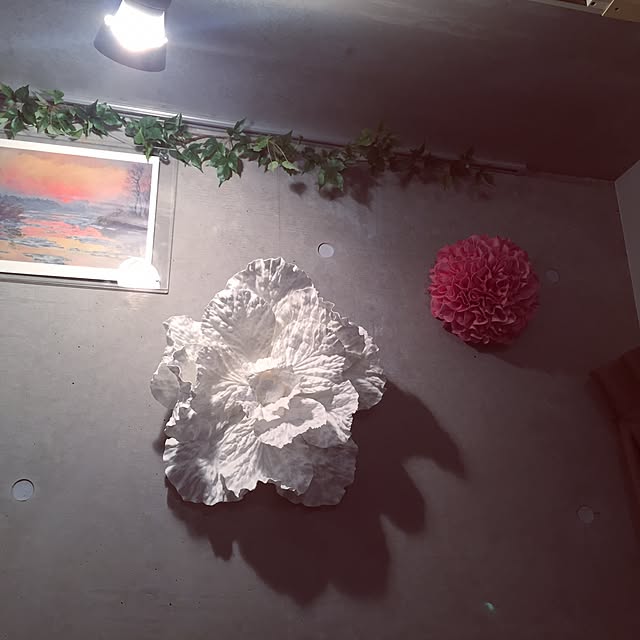 aaaさんの実例写真