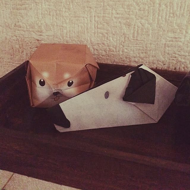 Mayさんの実例写真