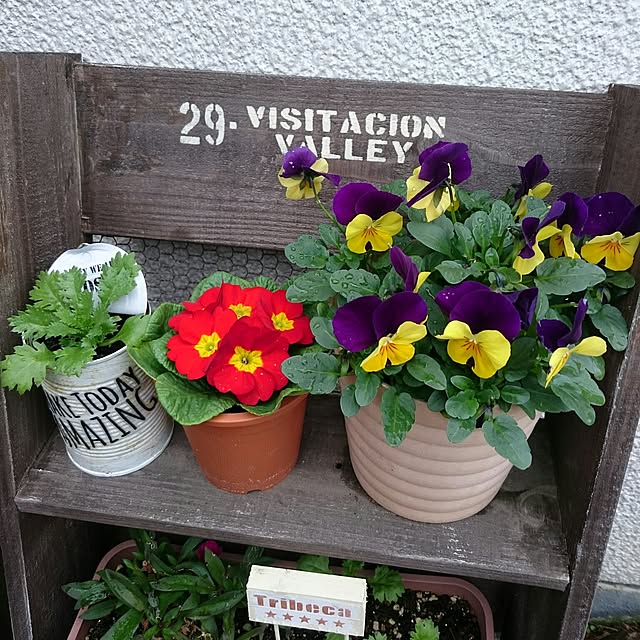 mozuku315さんの実例写真