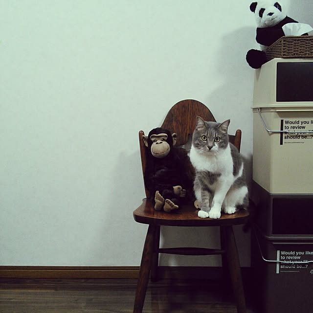 lovepandaさんの実例写真