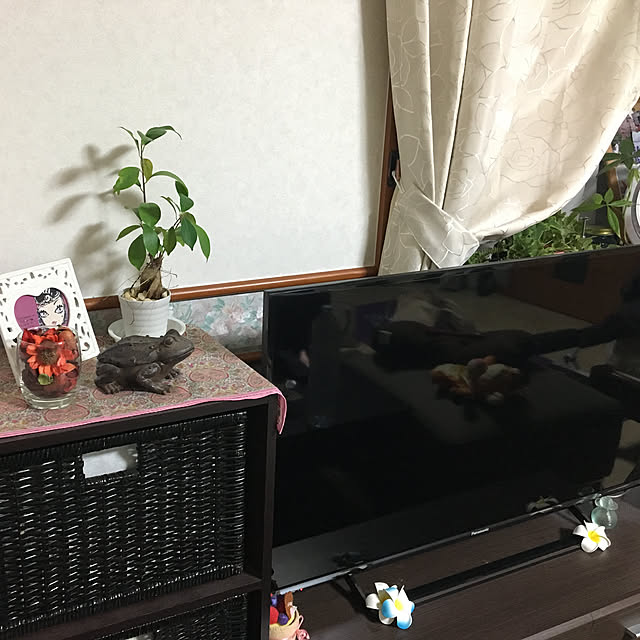 Misaさんの実例写真