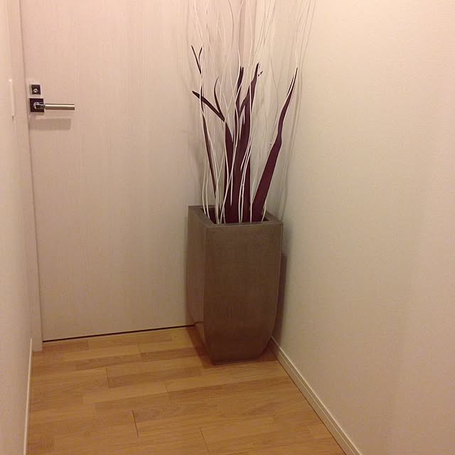 asano_salvatoreさんの実例写真