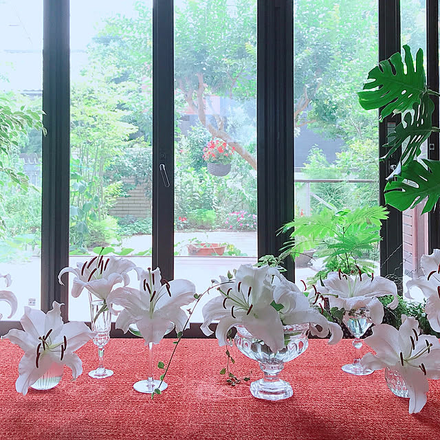 miwarinさんの実例写真