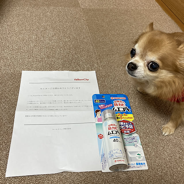 koroさんの実例写真