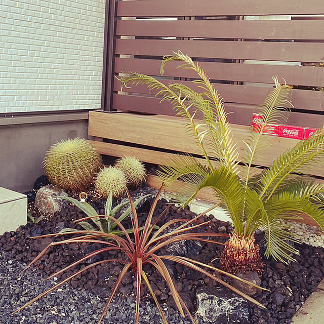 hiroさんの実例写真