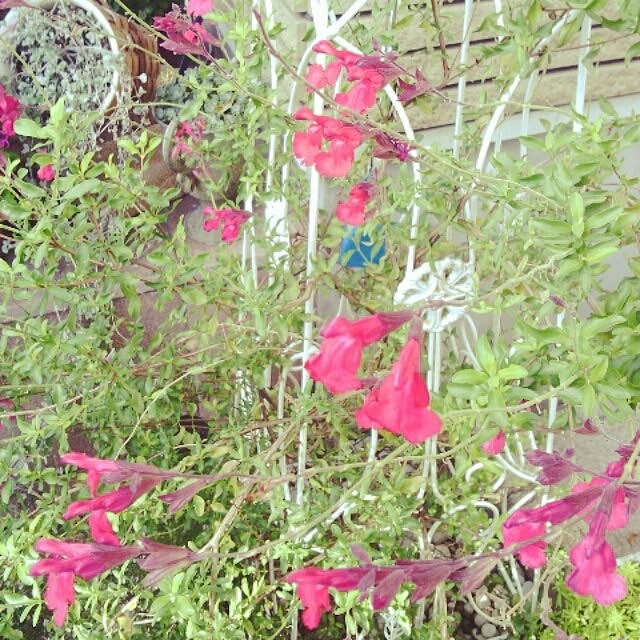 akr29さんの実例写真