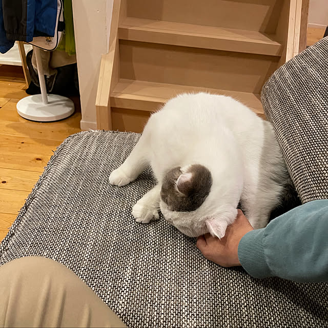 rms_familyさんの実例写真