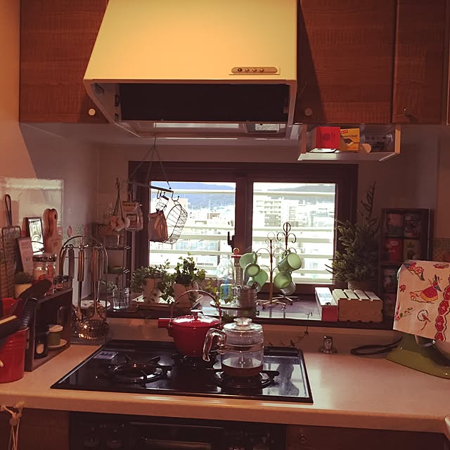 arihanoさんの実例写真