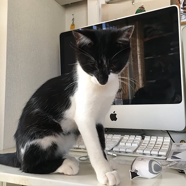 miyabiさんの実例写真