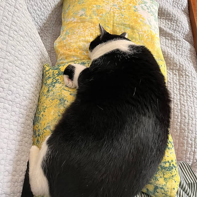 kojimasaさんの部屋