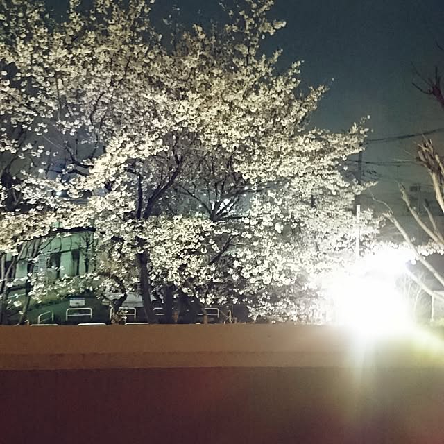 実例写真