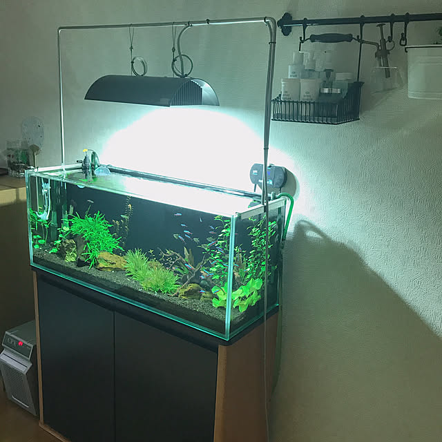 ADA 90cm水槽のインテリア実例 ｜ RoomClip（ルームクリップ）