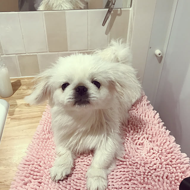2500さんの実例写真