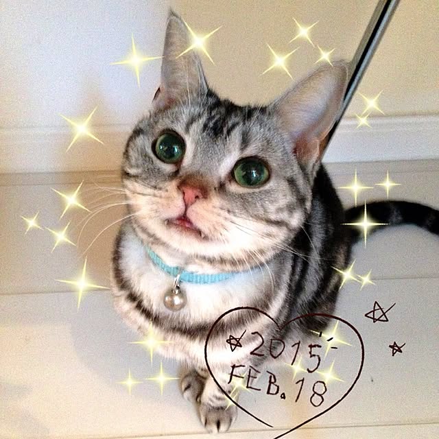 reikoさんの実例写真