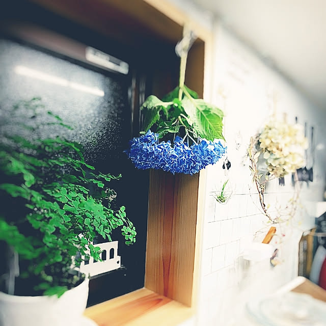Motomeさんの実例写真