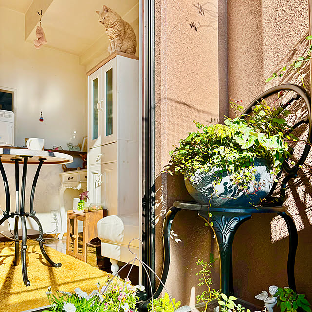 naokoさんの実例写真