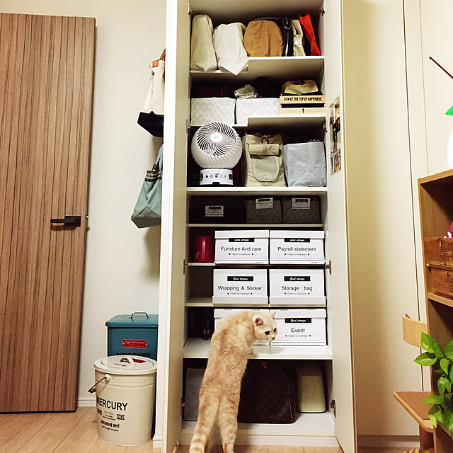 y.k.0123さんの実例写真