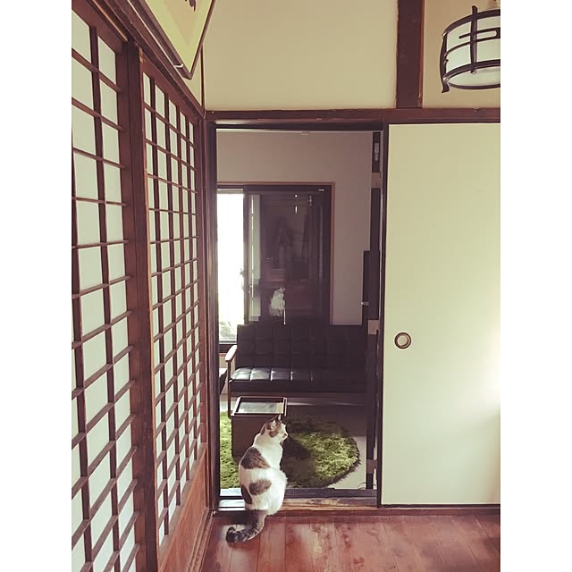 cantiamoさんの実例写真