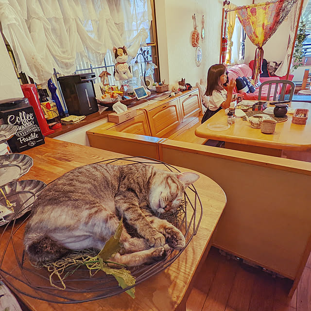 uchizukonyanさんの実例写真