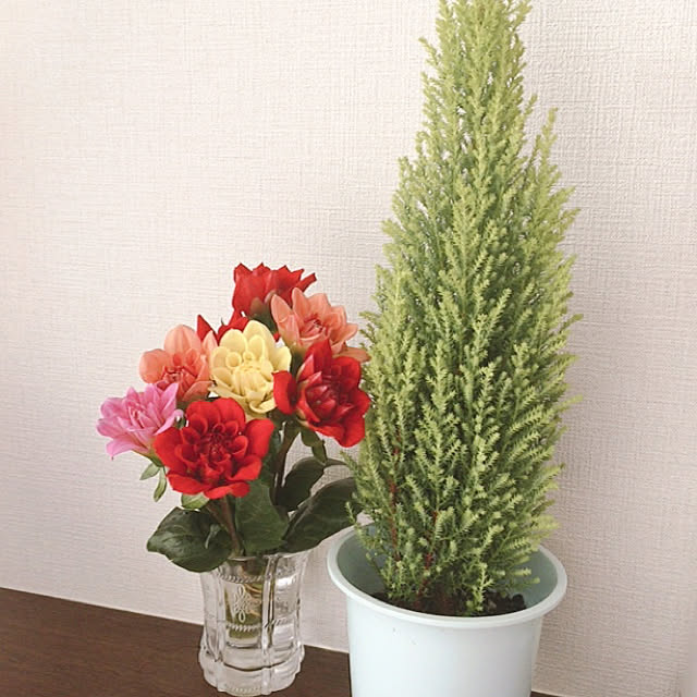 haruさんの実例写真
