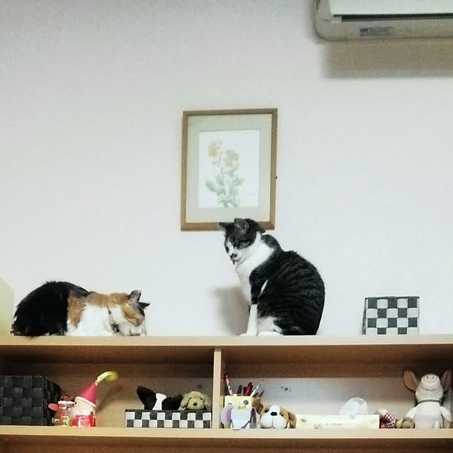 kiyohima229さんの実例写真