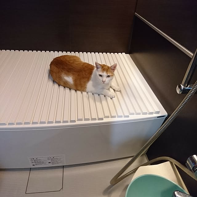porinさんの実例写真