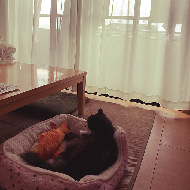 kanaさんの実例写真