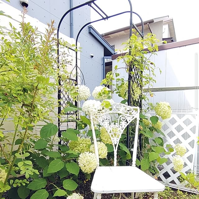 Bienvenueさんの部屋