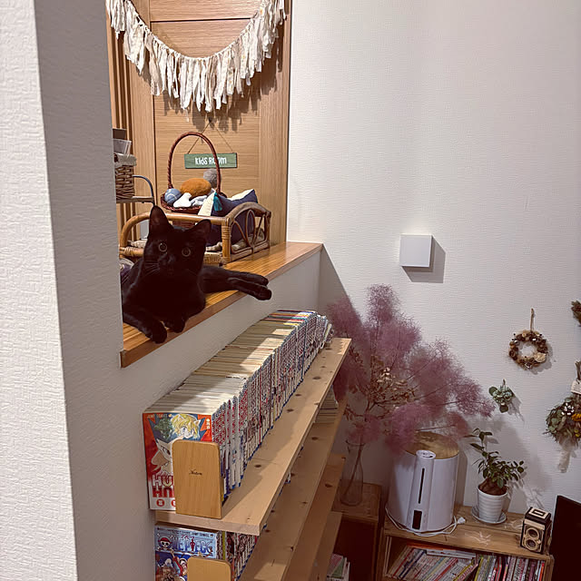 niko.mamさんの実例写真