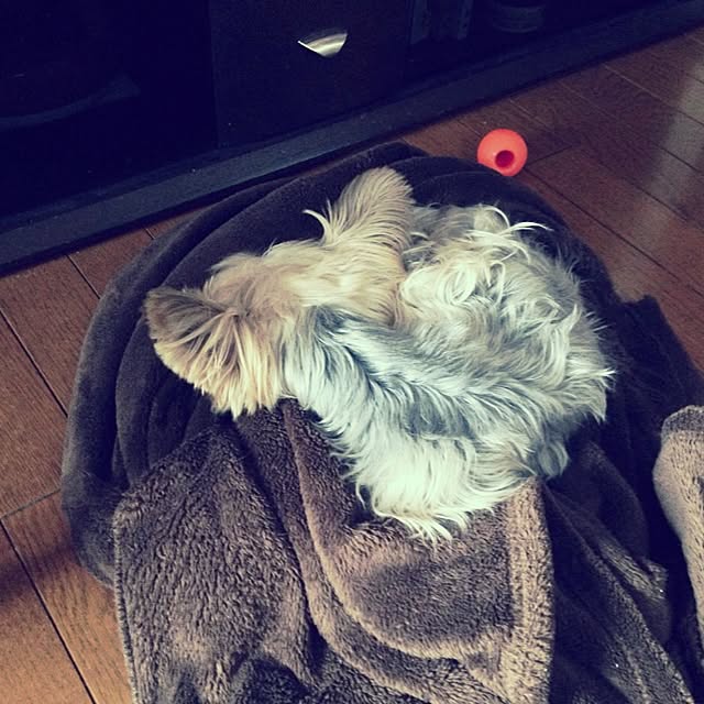 Leeeさんの実例写真