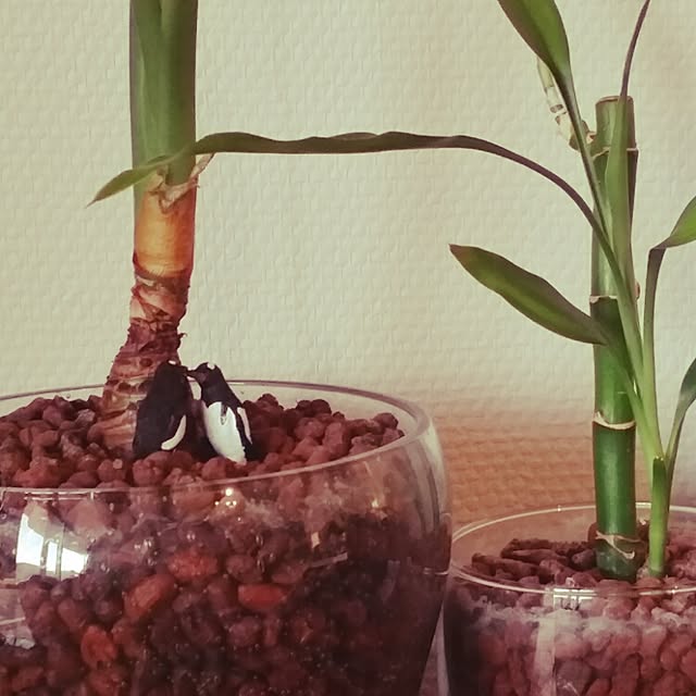 shinji19730515さんの実例写真