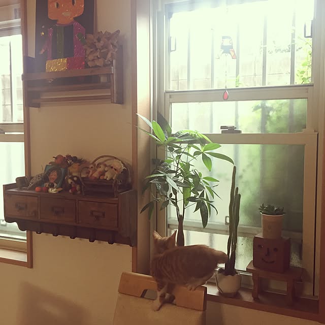 Hamuさんの実例写真