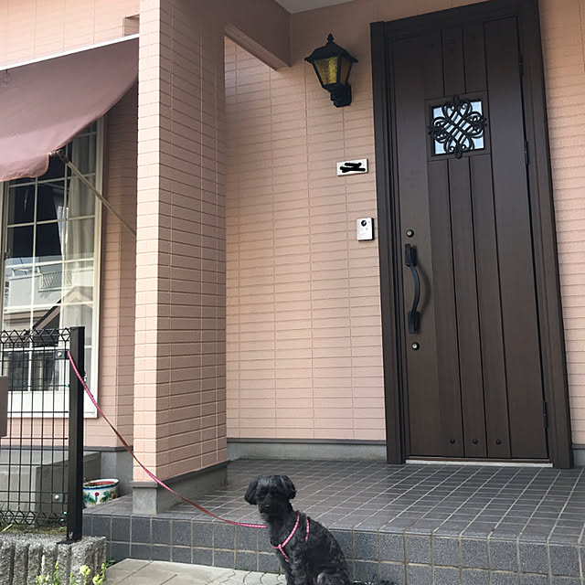 shouさんの実例写真