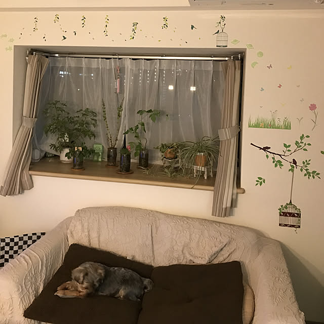 mami.0702.riyoさんの実例写真