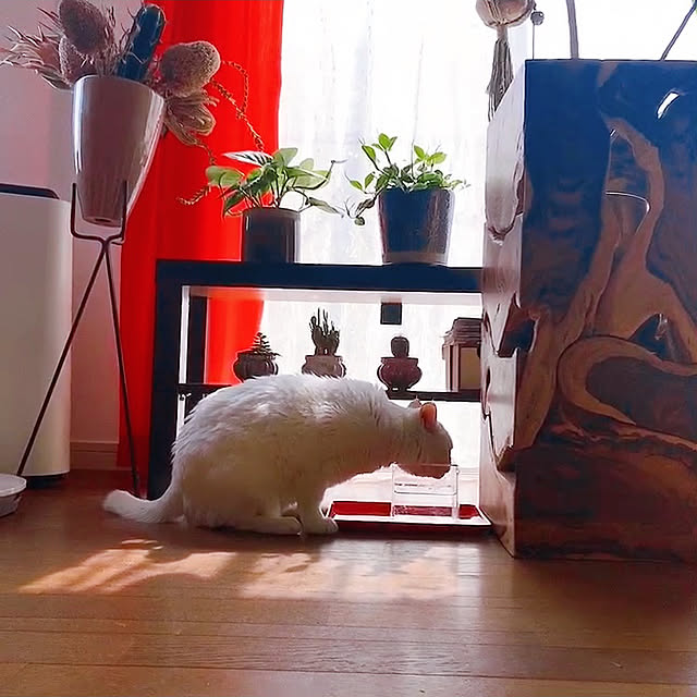 nyanko-beamさんの実例写真
