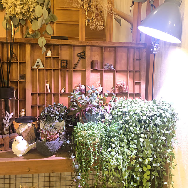 UNI.mamaさんの実例写真