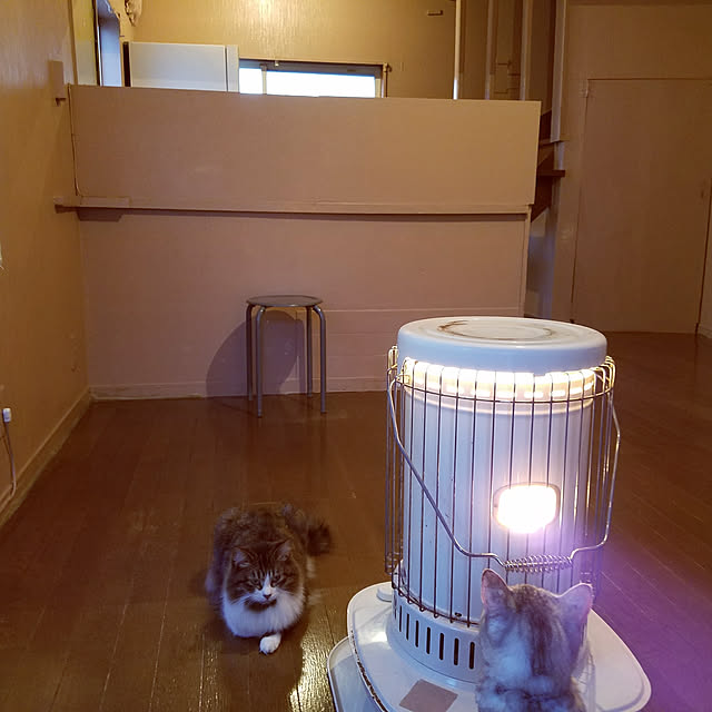 yukitadaさんの実例写真