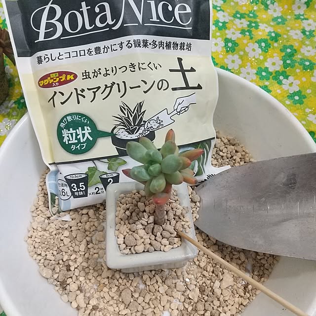 Rさんの部屋