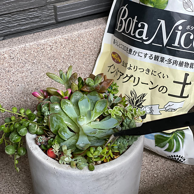 Lime..さんの部屋
