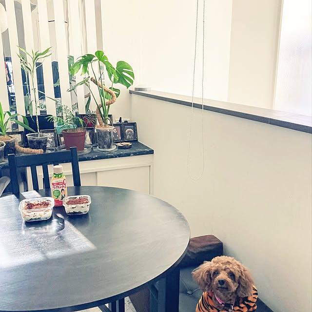 MOMOMAMAさんの実例写真