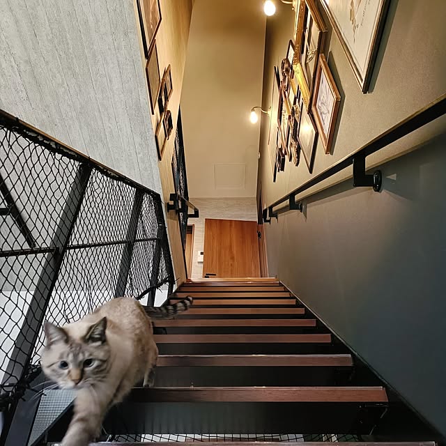 Atelier_tamakiさんの部屋